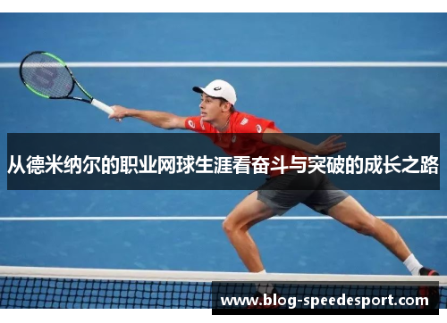 从德米纳尔的职业网球生涯看奋斗与突破的成长之路