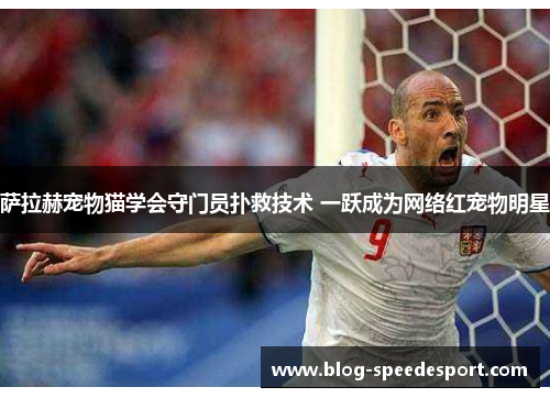 萨拉赫宠物猫学会守门员扑救技术 一跃成为网络红宠物明星