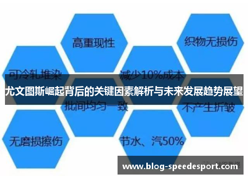 尤文图斯崛起背后的关键因素解析与未来发展趋势展望